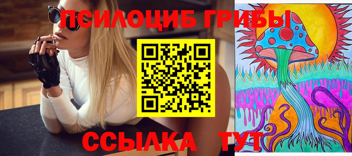 Галлюциногенные грибы Psilocybe Топки