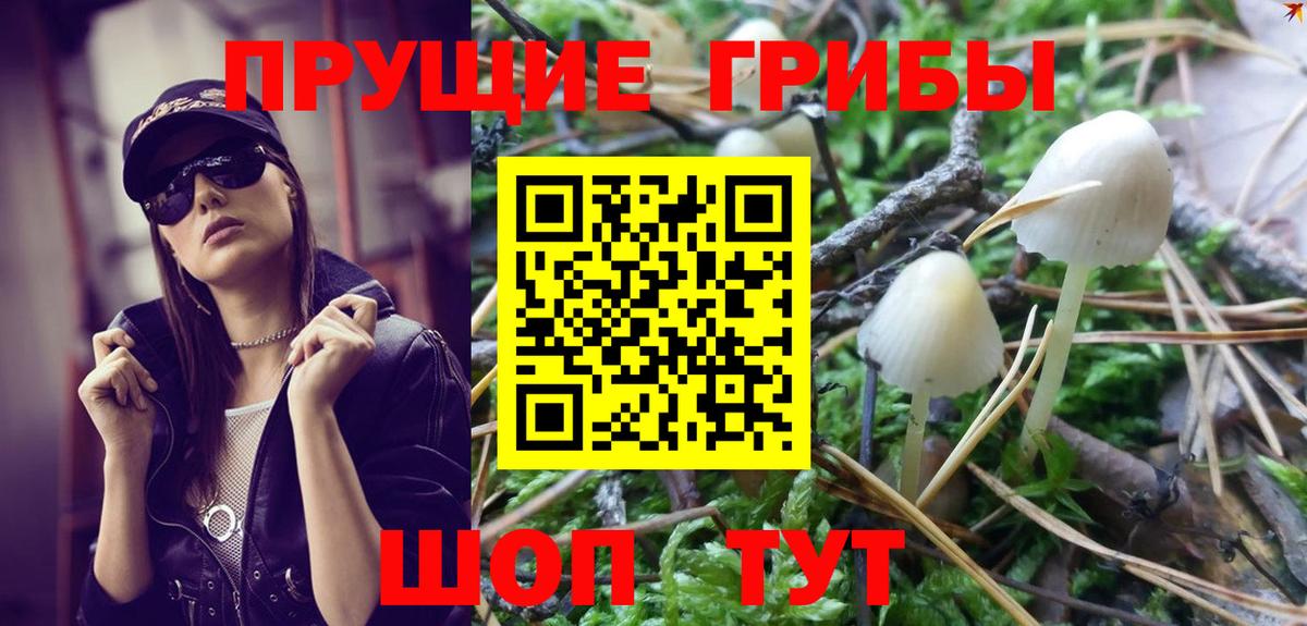 Псилоцибиновые грибы Psilocybe  Псилоцибиновые грибы Cubensis  Топки  Вход с VPN 